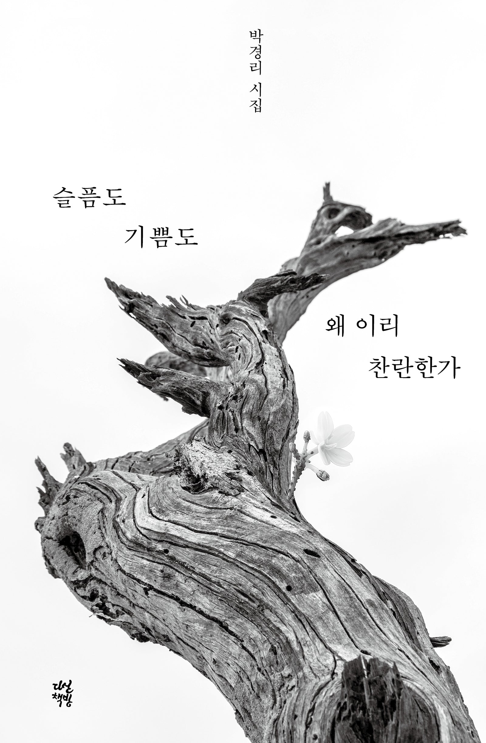 슬픔도 기쁨도 왜 이리 찬란한가(양장본 Hardcover)