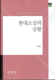 현대소설의 상황(푸른사상 평론선 12)