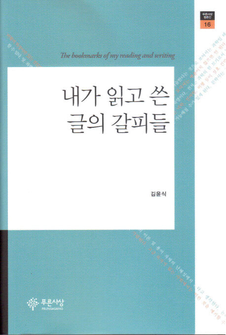내가 읽고 쓴 글의 갈피들(푸른사상 평론선 16)