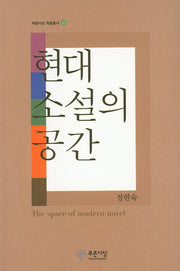 현대소설의 공간(푸른사상 학술총서 27)