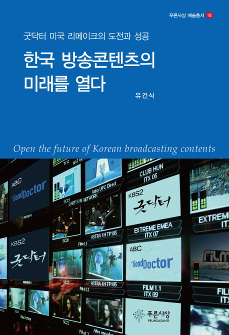 한국 방송콘텐츠의 미래를 열다(푸른사상 예술총서 18)