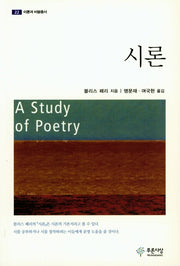 시론(이론과 비평총서 22)