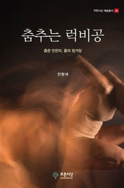 춤추는 럭비공(푸른사상 예술총서 23)