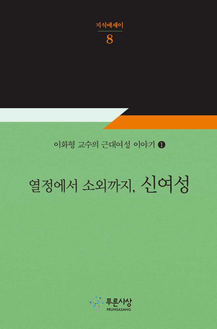 열정에서 소외까지, 신여성(지식에세이 8)