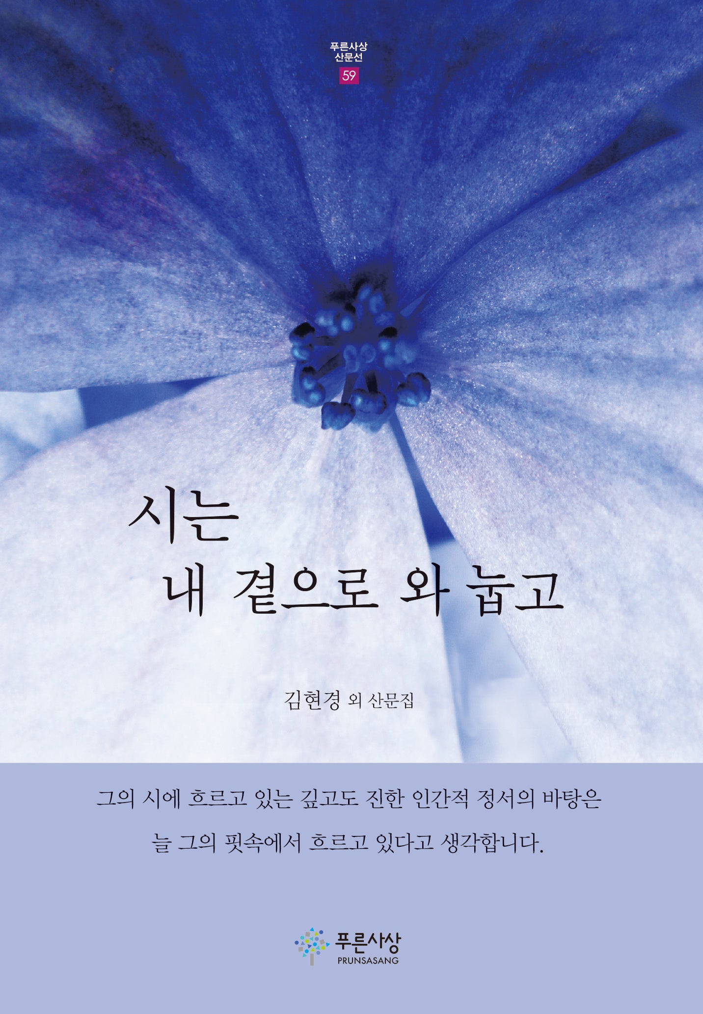 시는 내 곁으로 와 눕고(푸른사상 산문선 59)