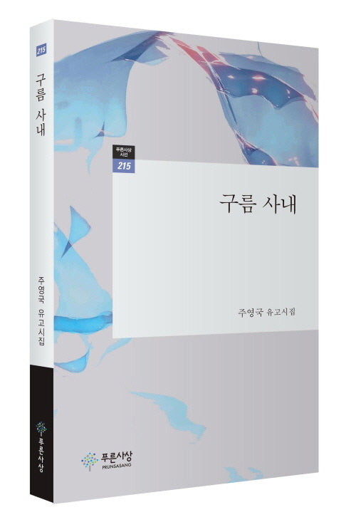 구름 사내(푸른사상시선 215)