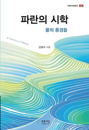파란의 시학(이론과 비평총서 26)