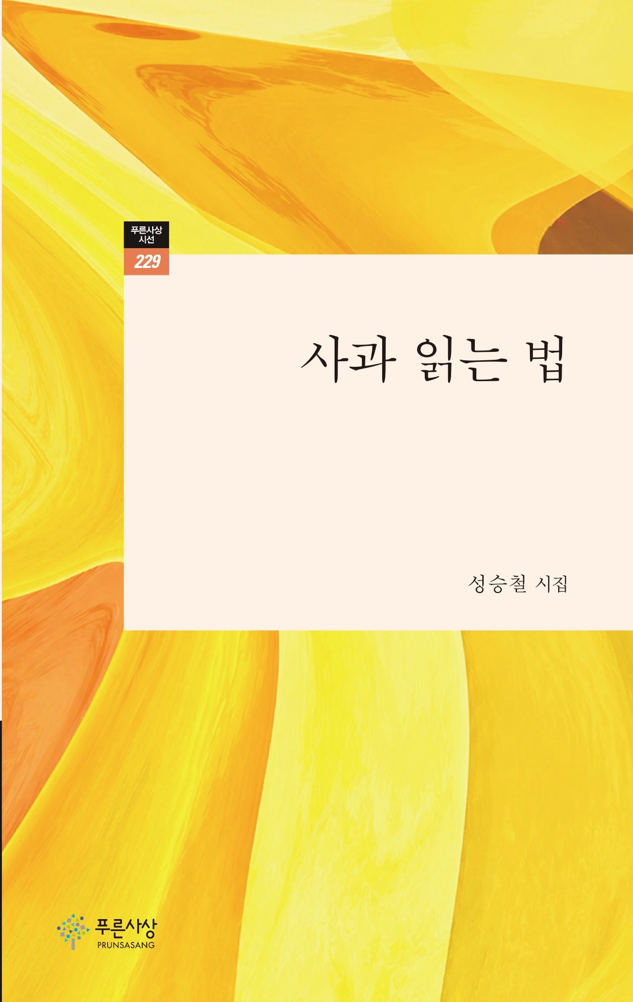 사과 읽는 법((푸른사상 시선 229)