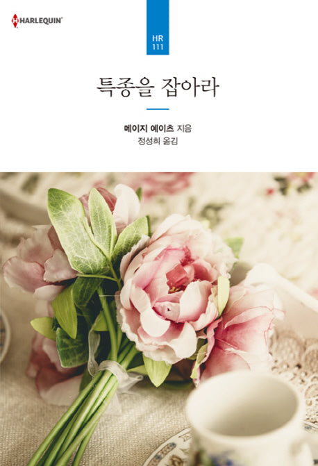 특종을 잡아라(할리퀸 로맨스 HR 111)