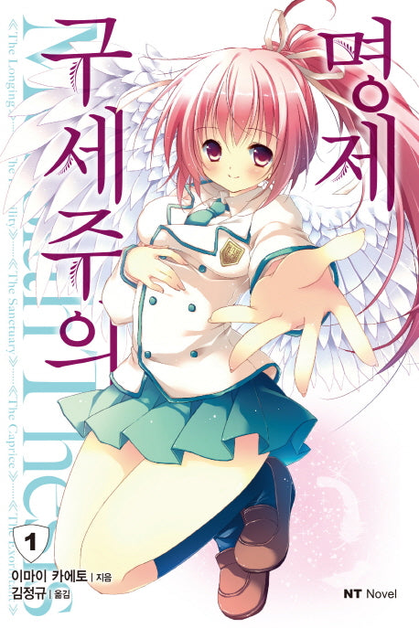 구세주의 명제 1(엔티노벨(NT Novel))