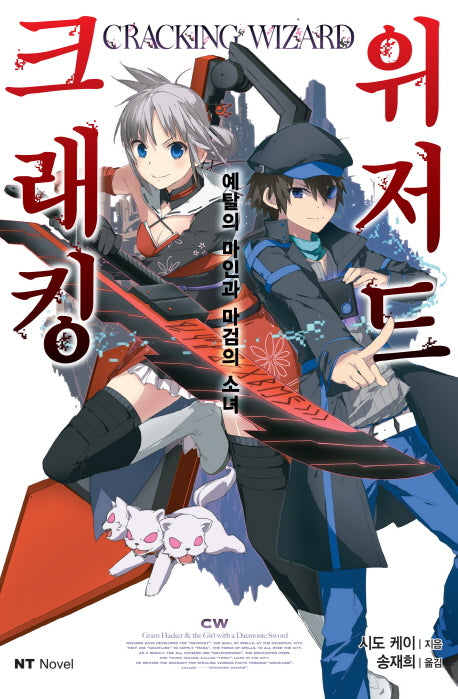 크래킹 위저드(엔티노벨(NT Novel))