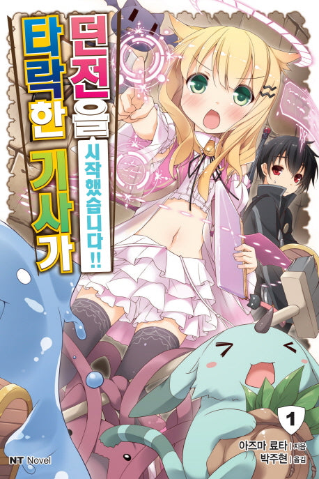 타락한 기사가 던전을 시작했습니다!! 1(엔티노벨(NT Novel))