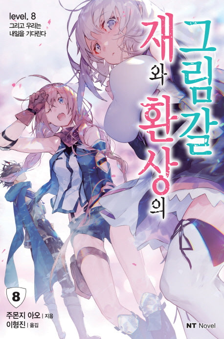 재와 환상의 그림갈 8(엔티노벨(NT Novel))