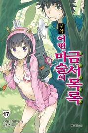 신약 어떤 마술의 금서목록 17(엔티노벨(NT Novel))