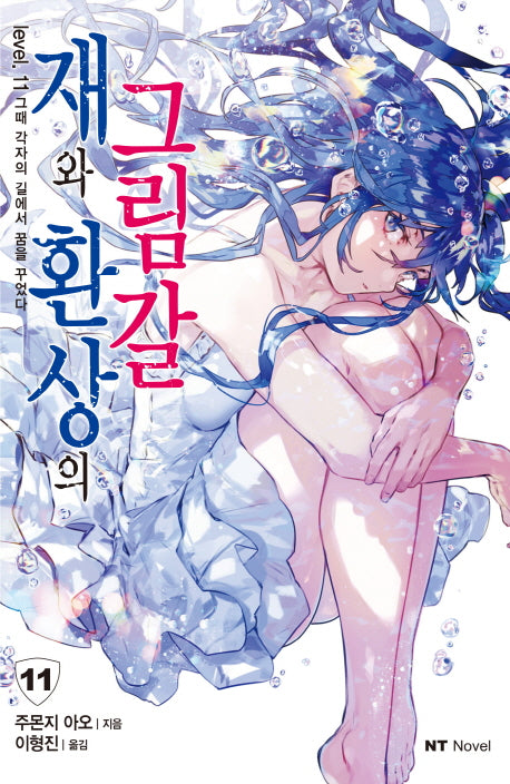 재와 환상의 그림갈 11(엔티노벨(NT Novel))