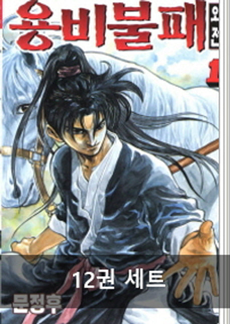 용비불패 외전 세트(완결)(1-12권)(전12권)