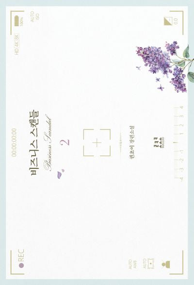 비즈니스 스캔들 2