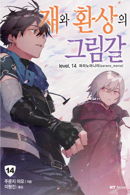 재와 환상의 그림갈 14(엔티노벨(NT Novel))