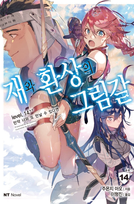 재와 환상의 그림갈 14++(엔티노벨(NT Novel))