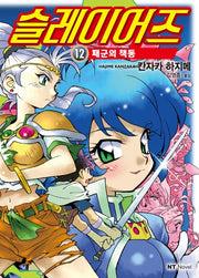슬레이어즈 12(엔티노벨(NT Novel))