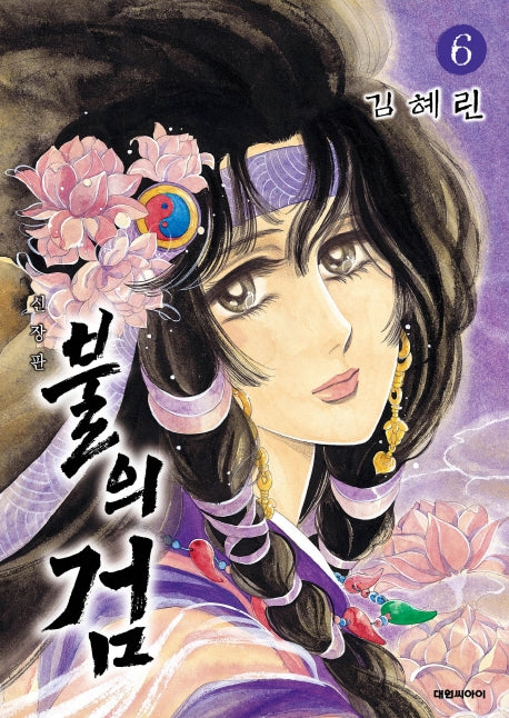 불의 검 6(신장판)