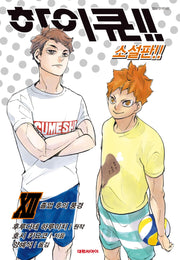 하이큐!! 12(소설판)(엔티노벨(NT Novel))