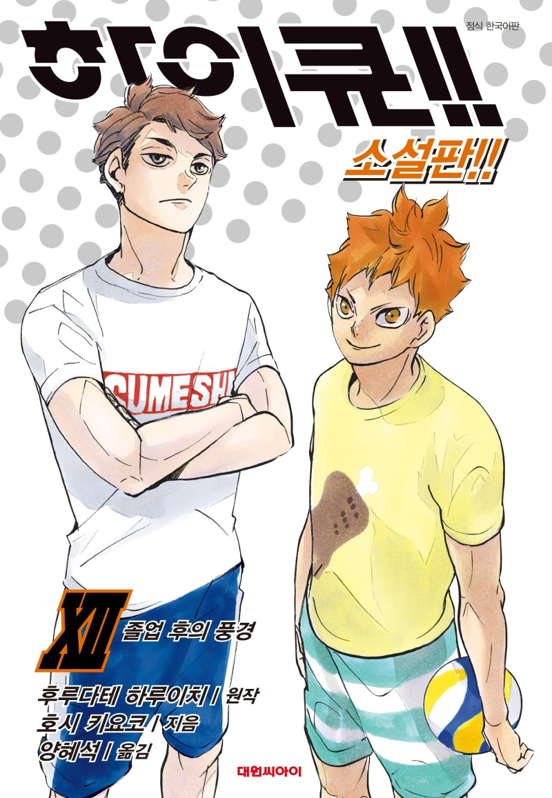하이큐!! 12(소설판)(엔티노벨(NT Novel))