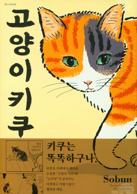 고양이 키쿠