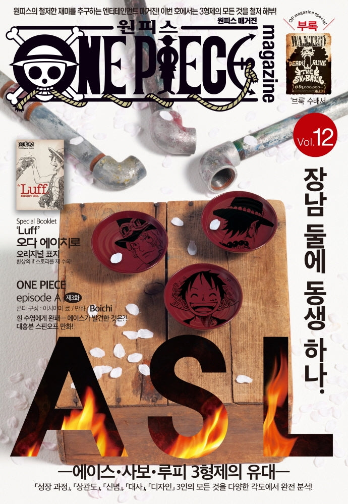 원피스 매거진 Vol 12