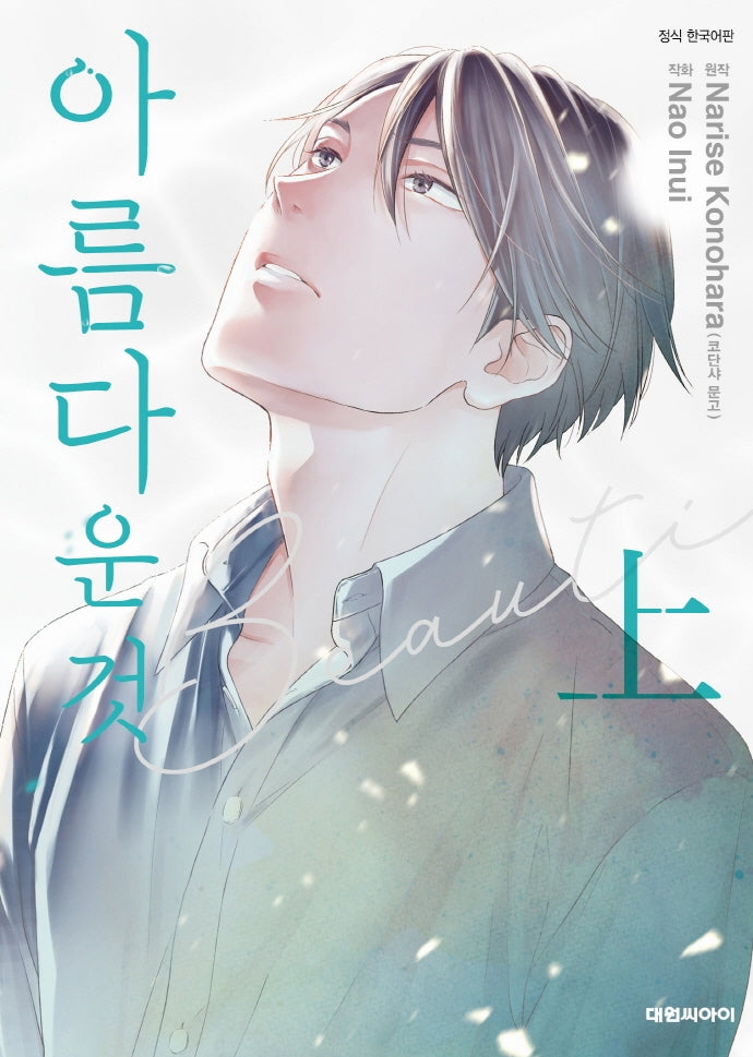 아름다운 것(상)