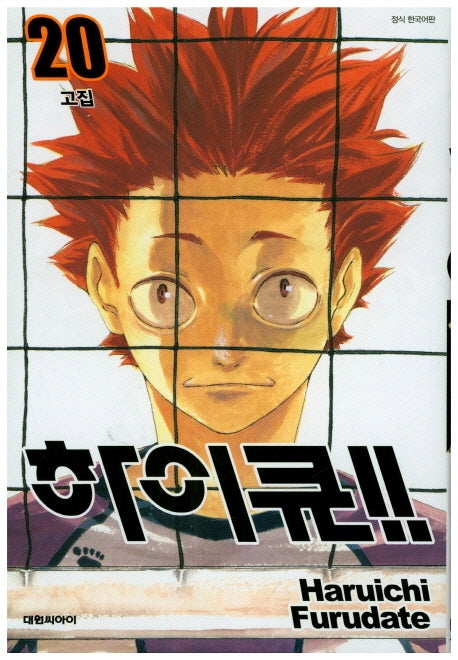 하이큐!! 20