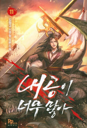 내공이 너무 많아 11