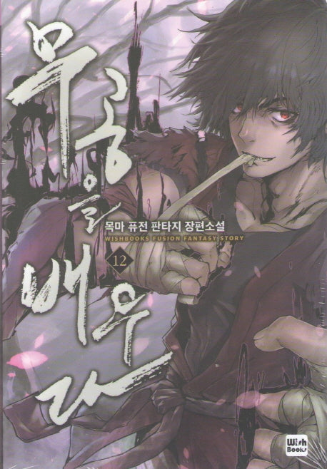 무공을 배우다 12