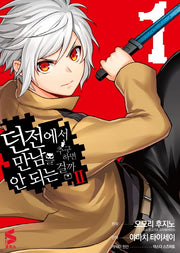 던전에서 만남을 추구하면 안 되는 걸까 2 1(S코믹스)