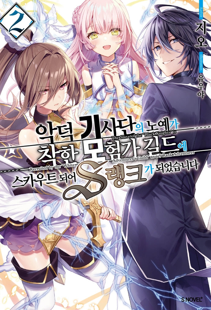 악덕 기사단의 노예가 착한 모험가 길드에 스카우트 되어 S랭크가 되었습니다 2(S노벨 플러스(S Novel +))