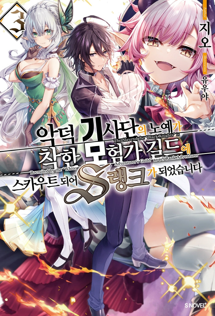악덕 기사단의 노예가 착한 모험가 길드에 스카우트 되어 S랭크가 되었습니다 3(S노벨 플러스(S Novel +))