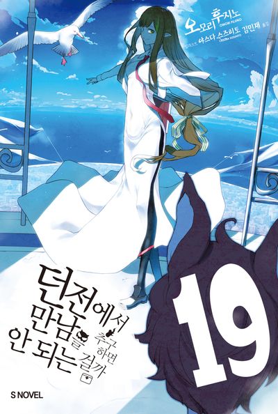 던전에서 만남을 추구하면 안 되는 걸까 19(S노벨(S Novel))