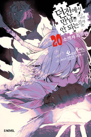 던전에서 만남을 추구하면 안 되는 걸까 20(소책자 특장판)(S 노벨(S Novel))