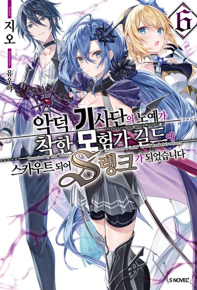 악덕 기사단의 노예가 착한 모험가 길드에 스카우트 되어 S랭크가 되었습니다 6(S노벨 플러스)