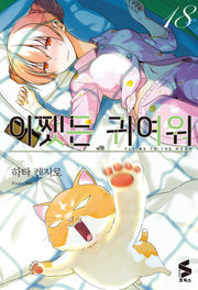 어쨌든 귀여워 18(S코믹스)