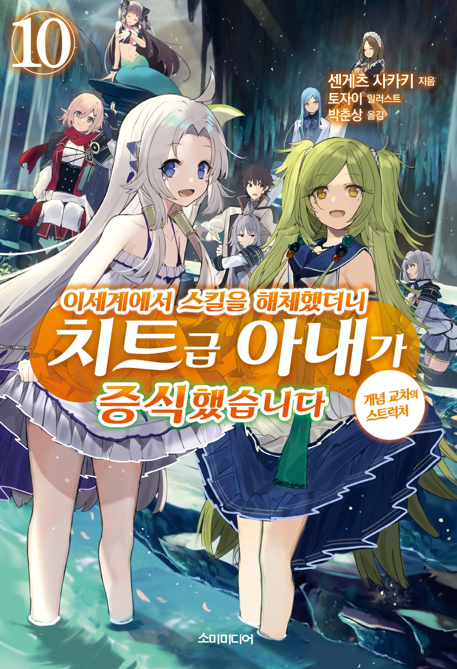이세계에서 스킬을 해체했더니 치트급 아내가 증식했습니다 10(S노벨 플러스)