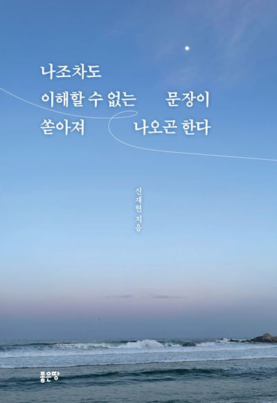 나조차도 이해할 수 없는 문장이 쏟아져 나오곤 한다