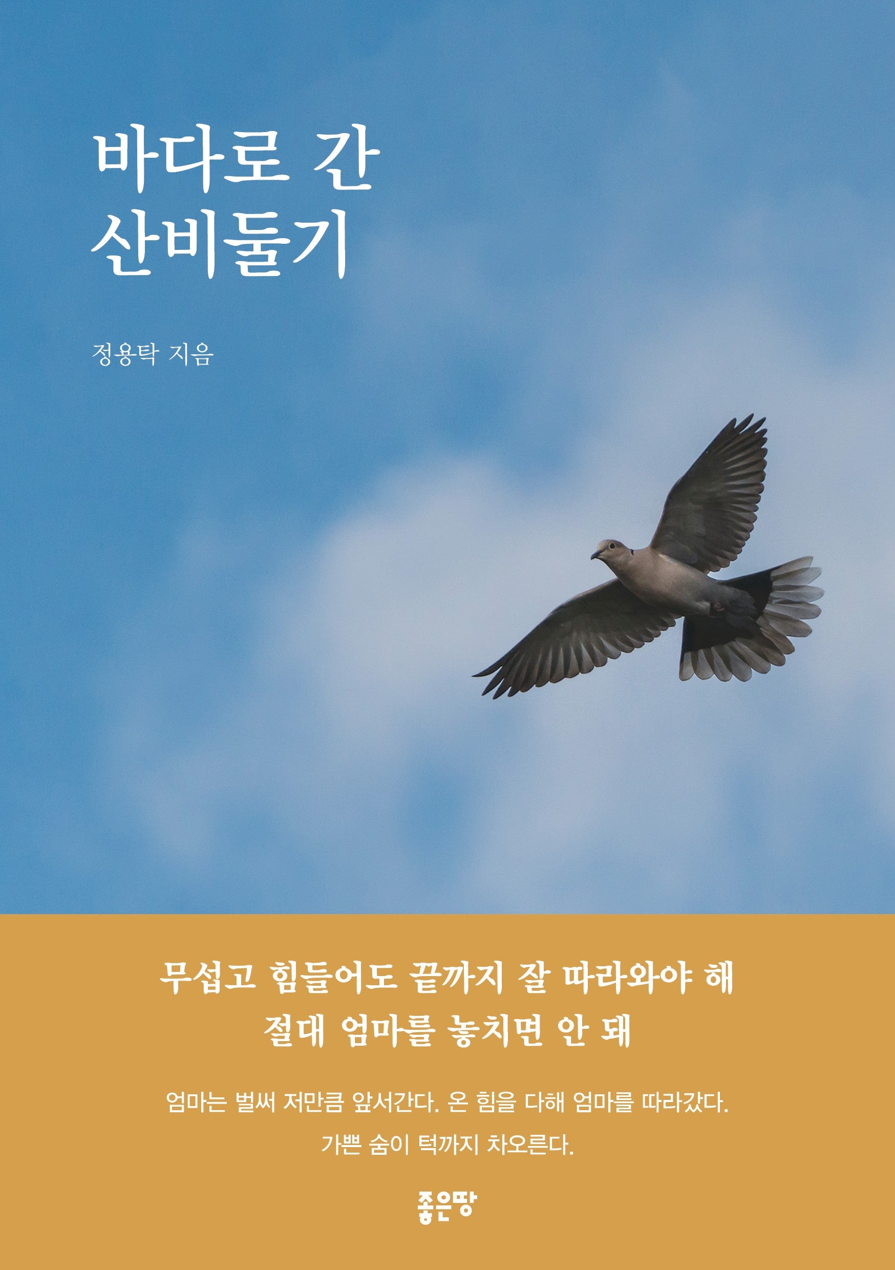 바다로 간 산비둘기
