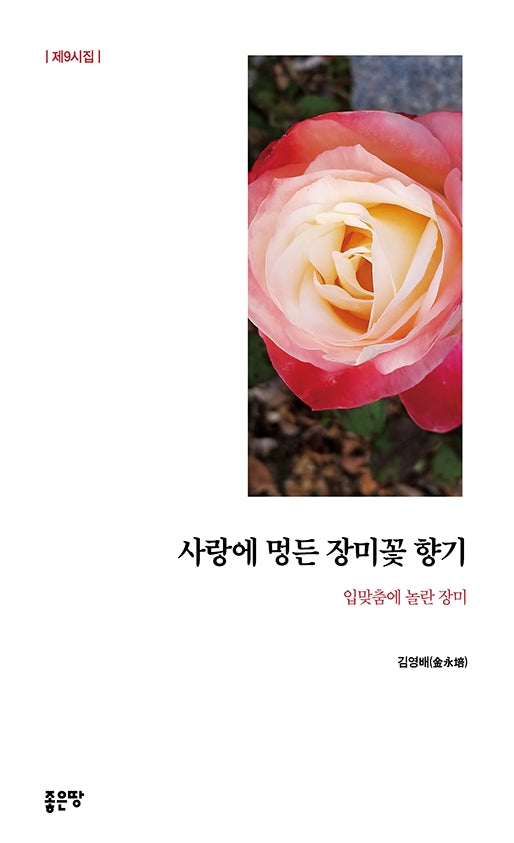 사랑에 멍든 장미꽃 향기