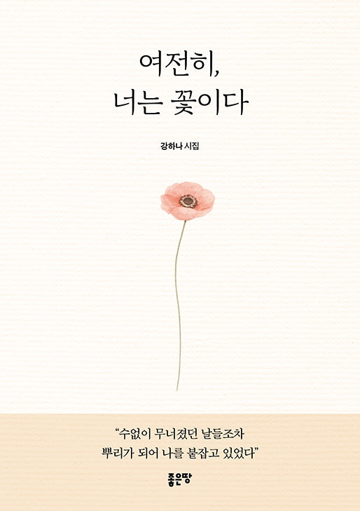 여전히, 너는 꽃이다