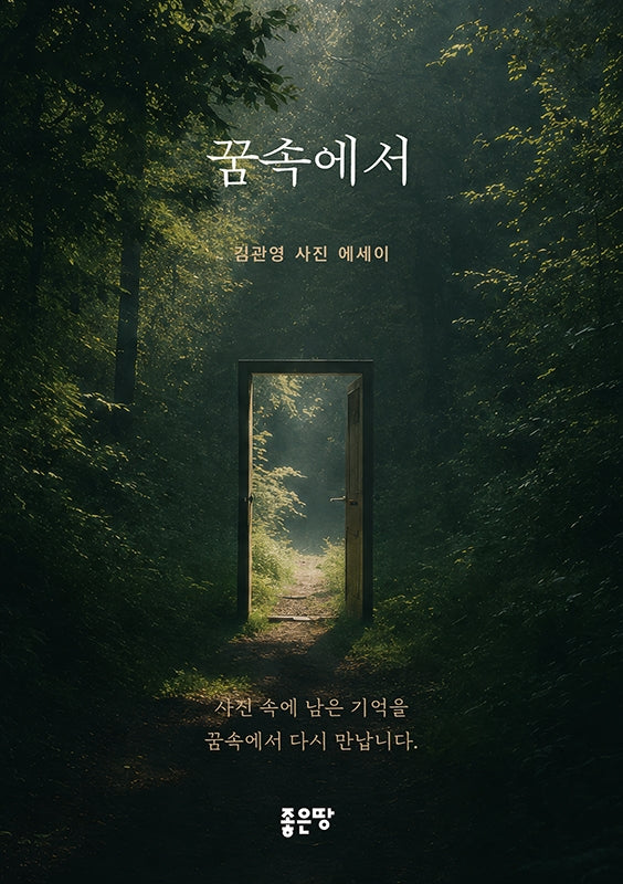 꿈속에서