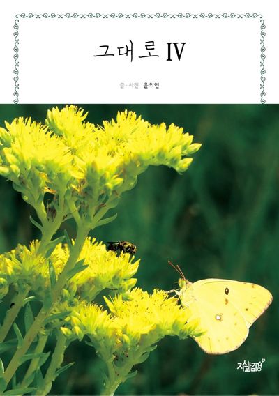 그대로 4
