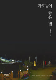 가로등이 품은 별