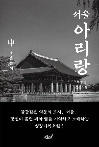 서울 아리랑(중): 소용돌이