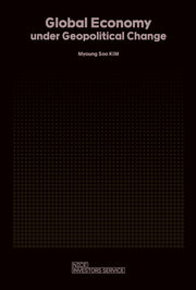 Global Economy under Geopolitical Change